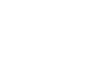 Logo du partenaire Nemea Appart Hotel Nice